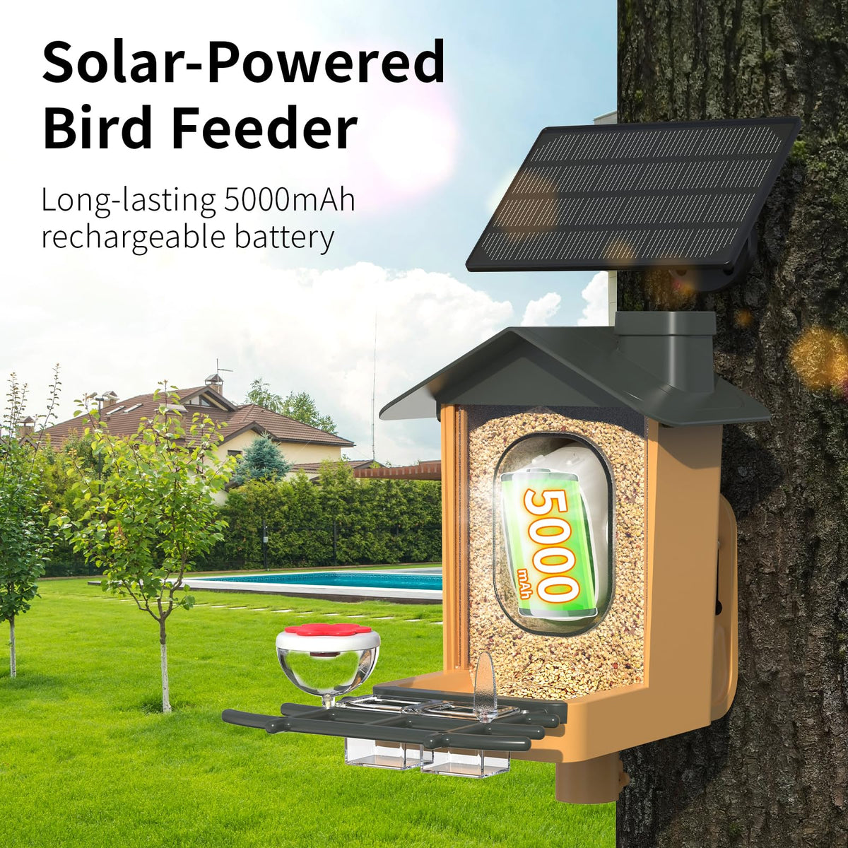 Kompinac Bird Feeder solar powered battery keeps feeding going