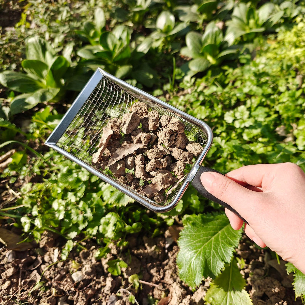 KOROI sifter and shovel combo saves time on garden tasks