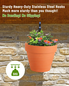 KOROI versatile display using 10-pack hooks on sunny patio for varied plant arrangements.