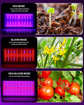 KOSCHEAL KS2000 durable design built for long-term indoor gardening