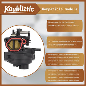 Koubliztic carburetor kit fuel filter for improved fuel quality