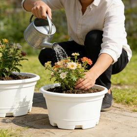 KPUVX pot set supports orchids, succulents, herbs, and more in any space.