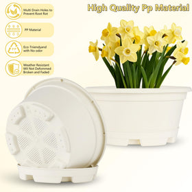 KPUVX plastic plant pots with removable saucers to catch overflow.
