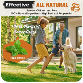 KQCWKH Squirrel Repellent for garages helps prevent gnawing.