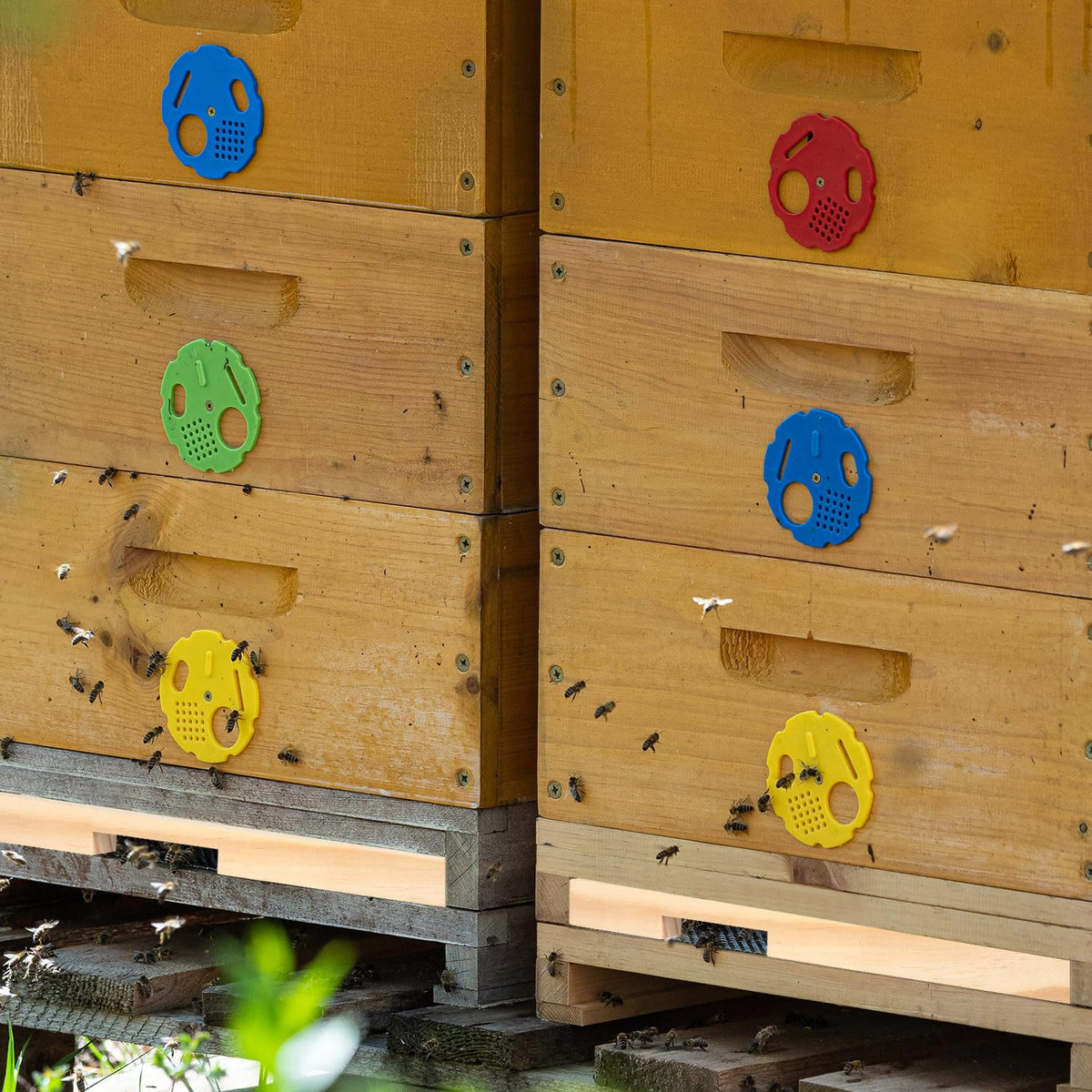 KQYSLXG Beehive entrance reducer confirms 10-frame compatibility for standard hives.