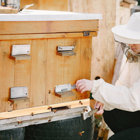 KQYSLXG Beehive entrance reducer shown for easy front-entry setup.