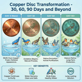 KraAra copper insert helps reduce buildup in standing water