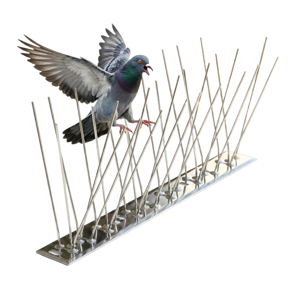KraAra bird spikes 12-pack design protects ledges without harming birds.