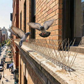 KraAra bird spikes on gutters enable easy, secure installation for perch prevention
