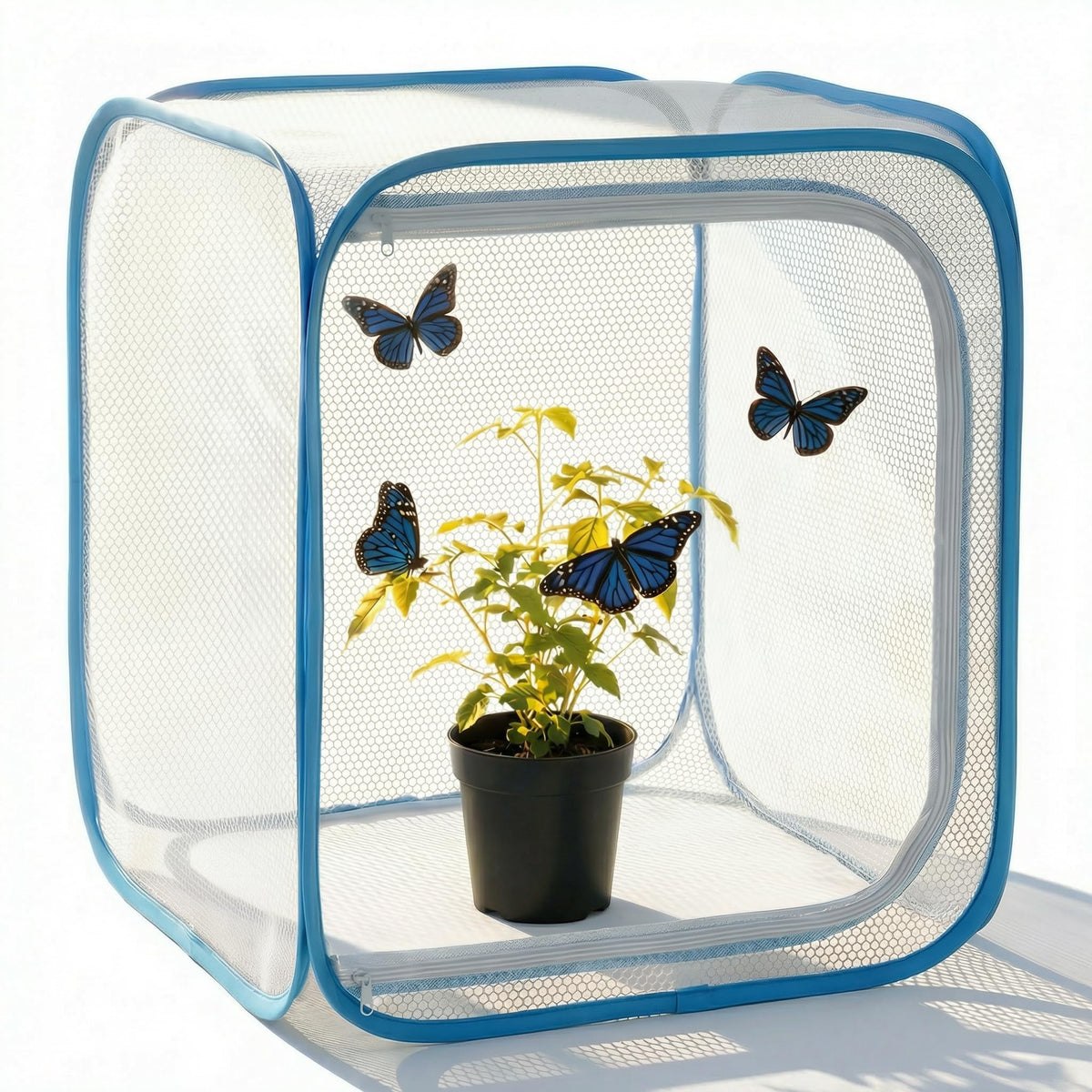 KraAra habitat cage with foldable 12in frame for quick, tidy setup.