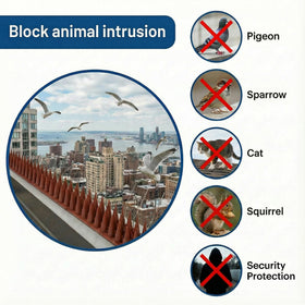 KraAra spikes on window sill keep ledges clean and bird-free.