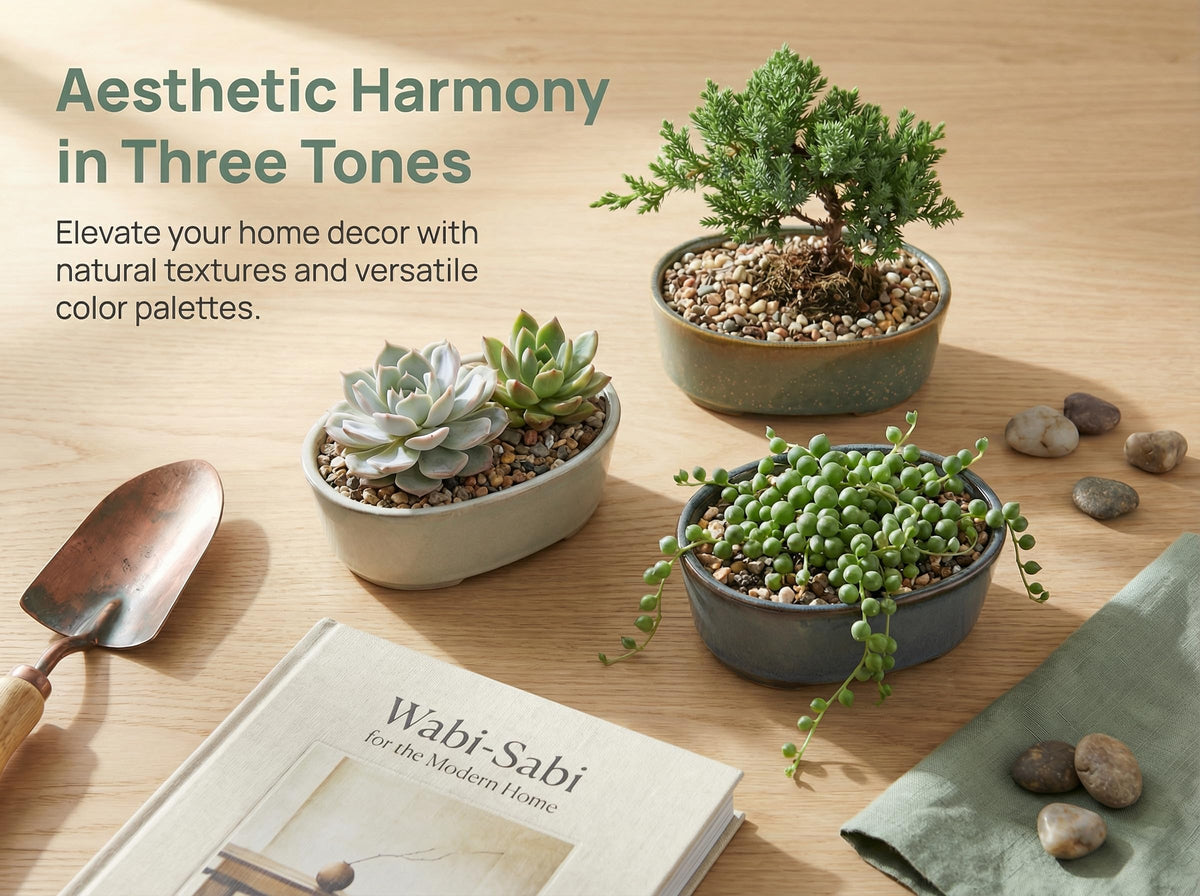 Krayce Serenya indoor-outdoor bonsai pot suits sunlit windowsills and balconies.