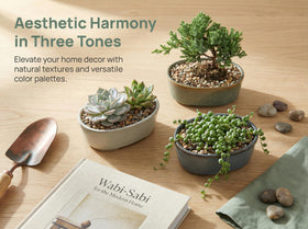 Krayce Serenya indoor-outdoor bonsai pot suits sunlit windowsills and balconies.