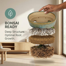 Krayce Serenya removable tray enables simple watering and prevents soggy soil.
