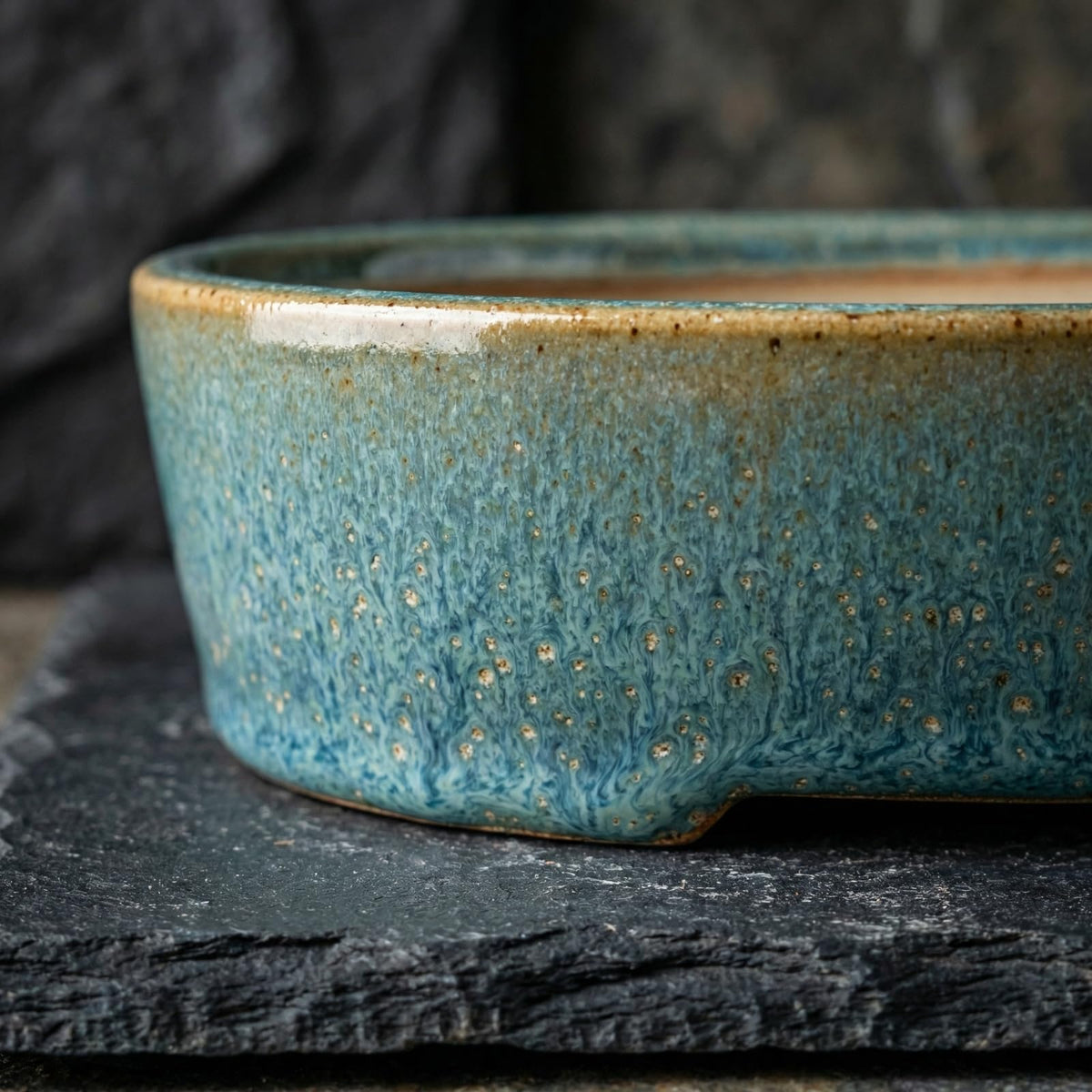 Krayce Serenya shallow bonsai pot with white glaze and removable tray for easy setup.