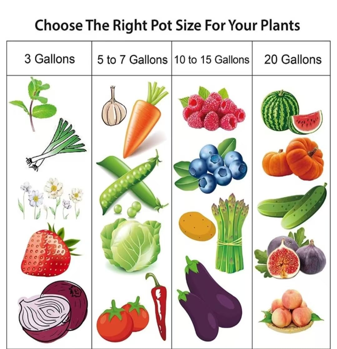Kriopy 20-gallon grow bag texture promotes airflow and healthy roots