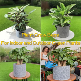 Kriopy 20-gallon grow bag supports tree and flowering plant growth