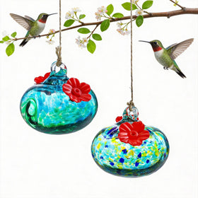 KRISININE glass hummingbird feeder with dual ports attracts birds to your outdoor space.