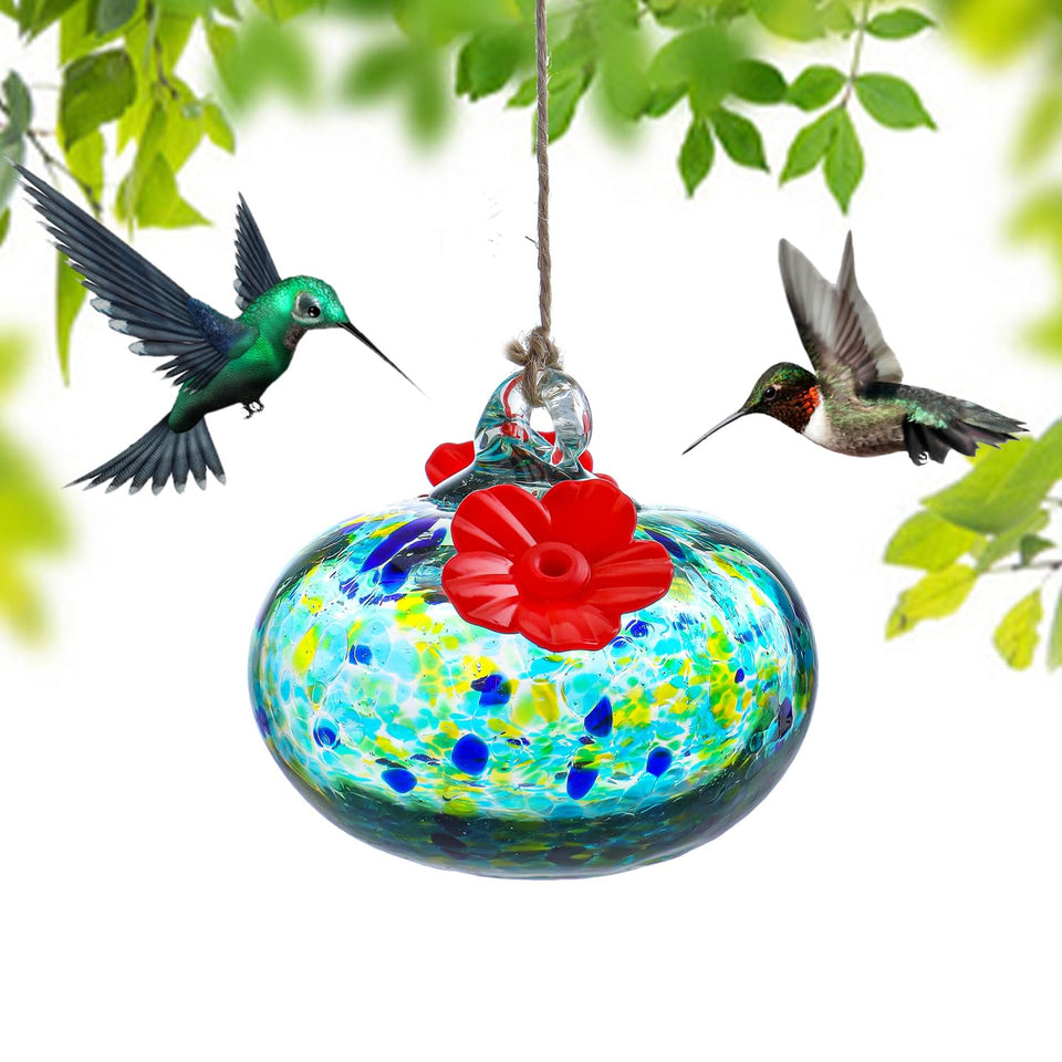 KRISININE glass hummingbird feeder with two ports attracts hummingbirds outdoors