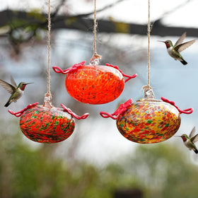 KRISININE glass feeder gift pack makes a thoughtful present for nature lovers.