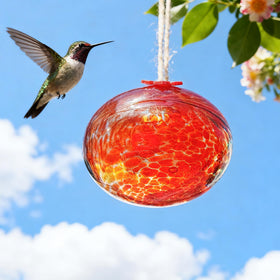 KRISININE nature-friendly feeder enhances backyard birdwatching.