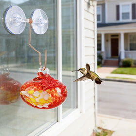 KRISININE perch-friendly design supports resting between visits
