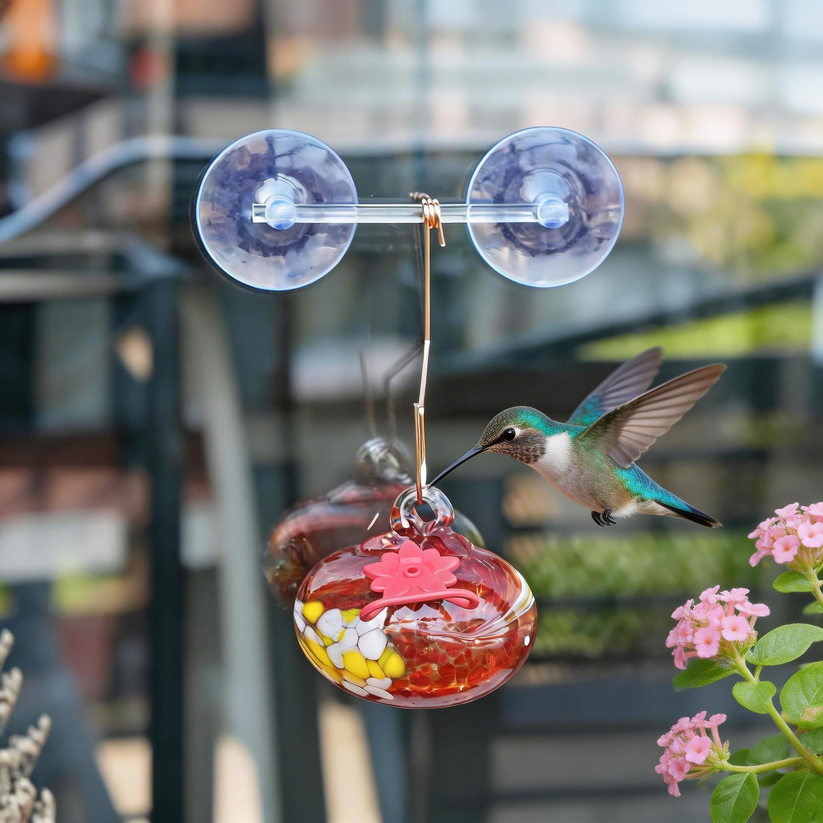 KRISININE outdoor-friendly feeder invites close bird watching from your garden