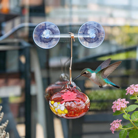 KRISININE outdoor-friendly feeder invites close bird watching from your garden