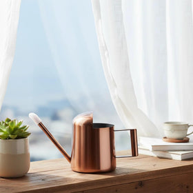 Ktsxxops indoor decor piece that doubles as functional plant care tool.