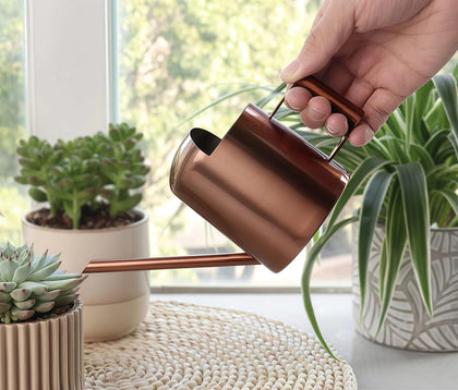 Ktsxxops watering can with long spout for precise indoor watering.