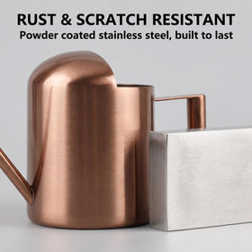 Ktsxxops silver finish metal watering can suits modern interiors.