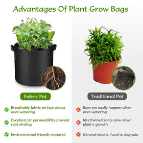Kuchisity breathable grow bag enabling air-pruned roots for healthier growth.