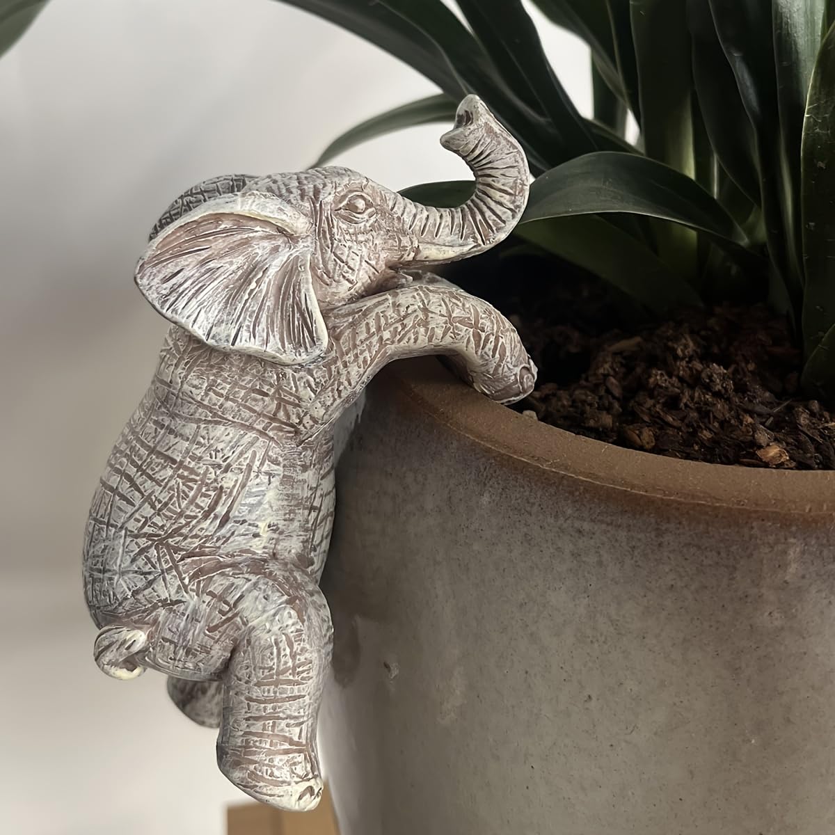 Easy-hang Kudriod planter hugs a pot or wall quickly.