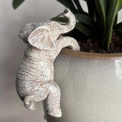 Kudriod Elephant Planter Hugger safely holds a small pot outdoors.