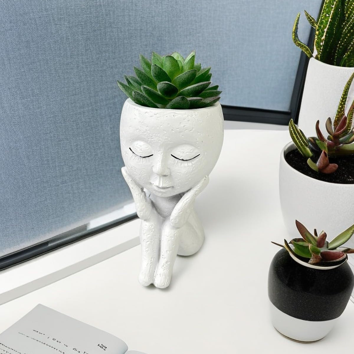 Kudriod face planter for outdoor garden decor adds whimsy to patios.