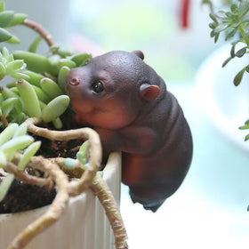 Kudriod Hippo Garden Decor enhances outdoor patios and balconies.