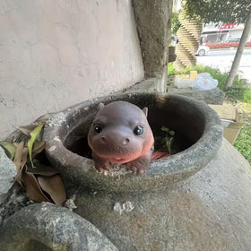 Kudriod Hippo Indoor Outdoor Display adds personality to plant corners.