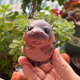 Kudriod Hippo Plant Lover Gift for gardeners and animal lovers.