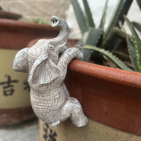 Kudriod indoor flower pot holder elephant brightening indoor space.