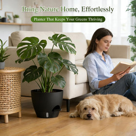 KUGAZ black minimalist planter supports healthy roots and décor.