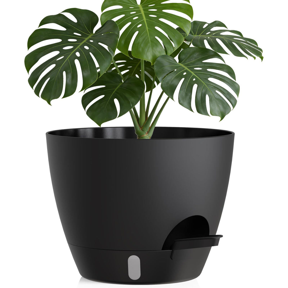 KUGAZ 12-inch self-watering plant pot provides steady moisture for plants.