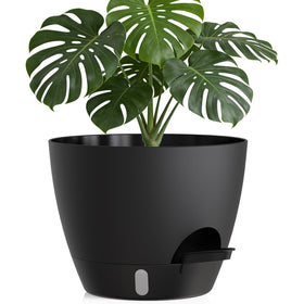 KUGAZ 12-inch self-watering plant pot provides steady moisture for plants.