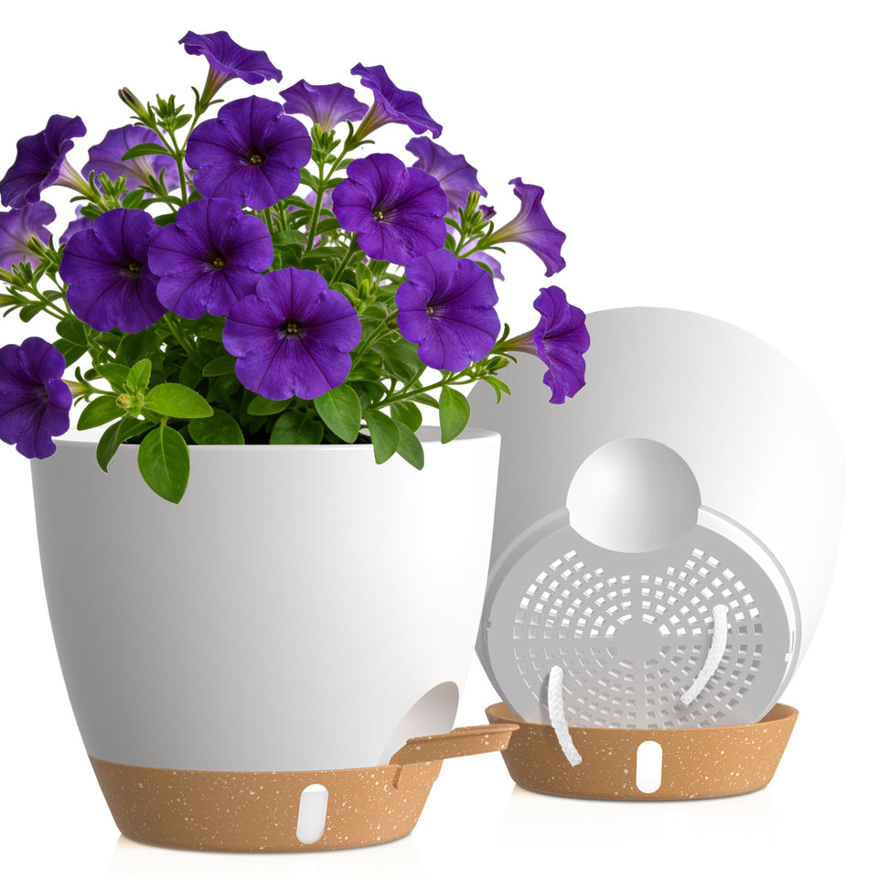 KUGAZ self-watering pots with reservoir show water storage for low-maintenance indoor plants.