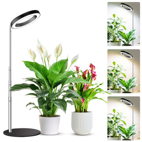 Kullsinss desktop-base grow light enabling compact indoor plant care on a desk