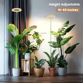 Kullsinss Grow Light faux woodgrain adds style while powering indoor plant health.