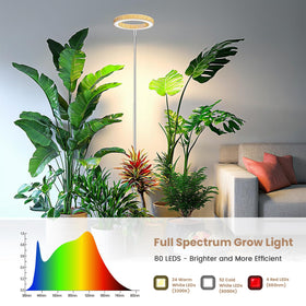 Kullsinss Grow Light height adjustable from 10 to 60 inches for tall plants.