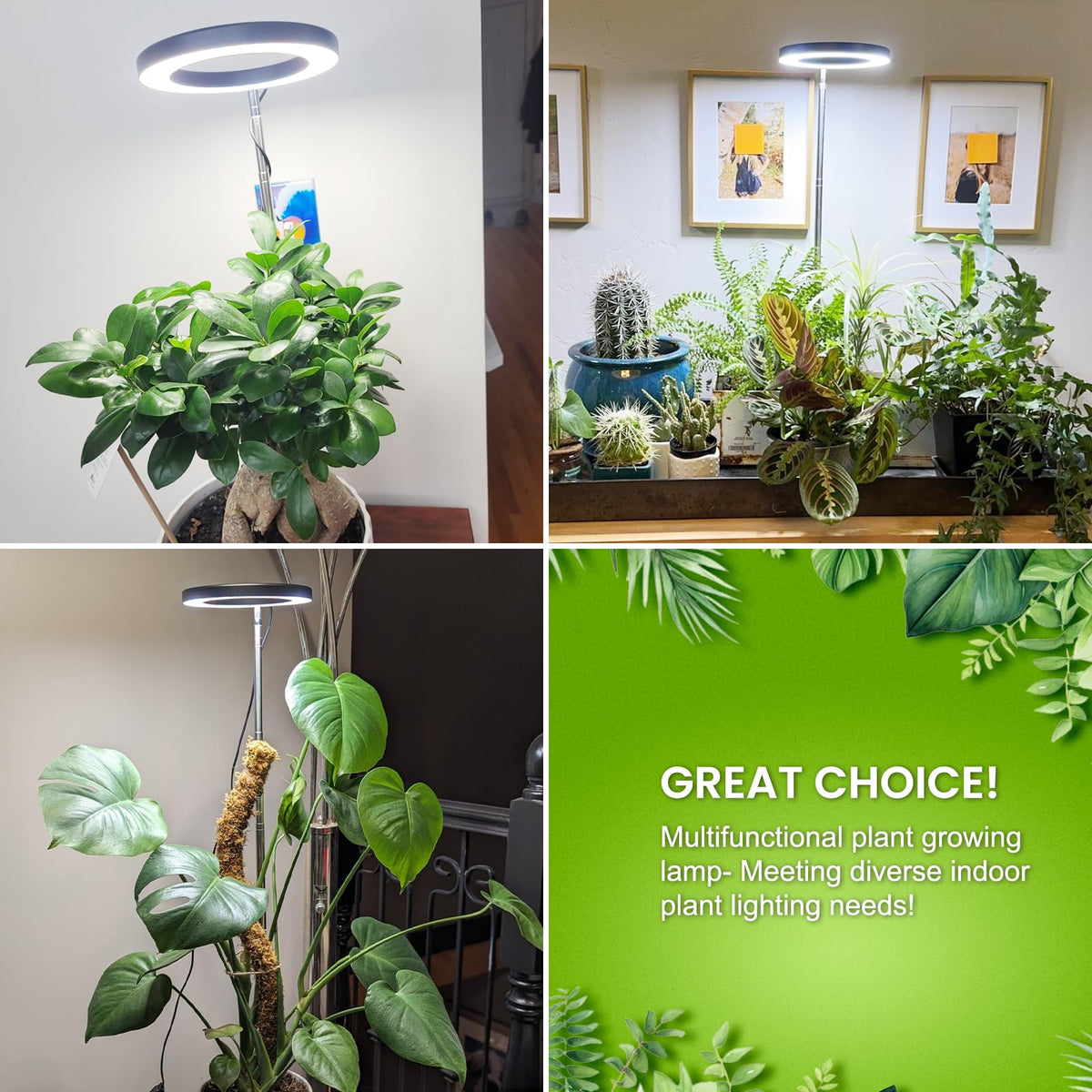 Kullsinss modern design grow light complements home decor while lighting plants