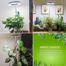 Kullsinss modern design grow light complements home decor while lighting plants