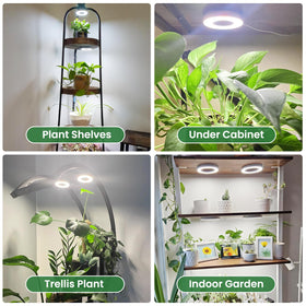 Kullsinss under-cabinet grow light mounted for indoor herbs