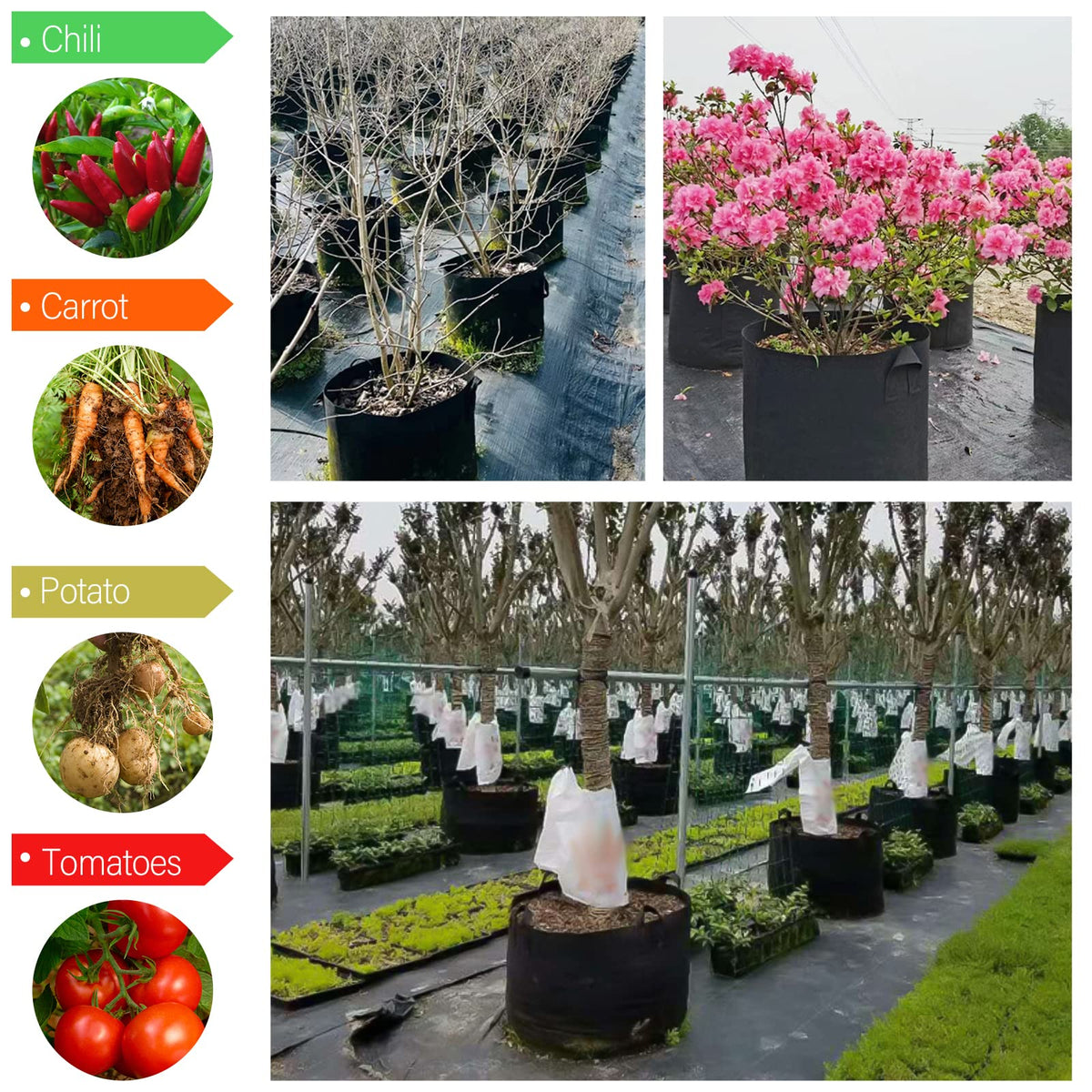 KuMers grow bag drainage design supports moisture management.